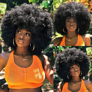 10 Inch Afro Kinky Curly Wigs 70s 80s Wigs Large Bouncy And Soft Natural Looking Full Puff Wigs For Party Cosplay Daily Wear