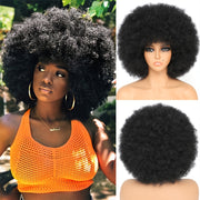 10 Inch Afro Kinky Curly Wigs 70s 80s Wigs Large Bouncy And Soft Natural Looking Full Puff Wigs For Party Cosplay Daily Wear