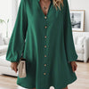 Effortlessly Chic Solid Color V-Neck Dress - Long Sleeve, Loose Fit for Spring & Fall - Stylish Womens Wardrobe Essential