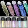 5 Bottles/Set of Nail Pearlescent Powder And Sparkling Powder for Nail Art