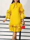 Elegant Ruffled Tie Neck Long Sleeve Dress for Women, Spring/Fall Casual Wear