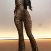 Chic Leopard Print 2pcs Set: Sexy Long Sleeve Crop Top & High-Waist Stretch Flare Pants - Perfect for Spring, Fall & Winter