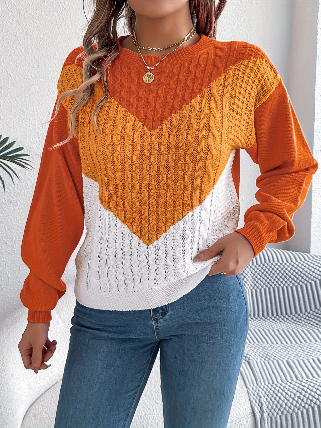 Color Block Crew Neck Sweater, Elegant Long Sleeve Sweater For Fall & Winter, Women's Clothing