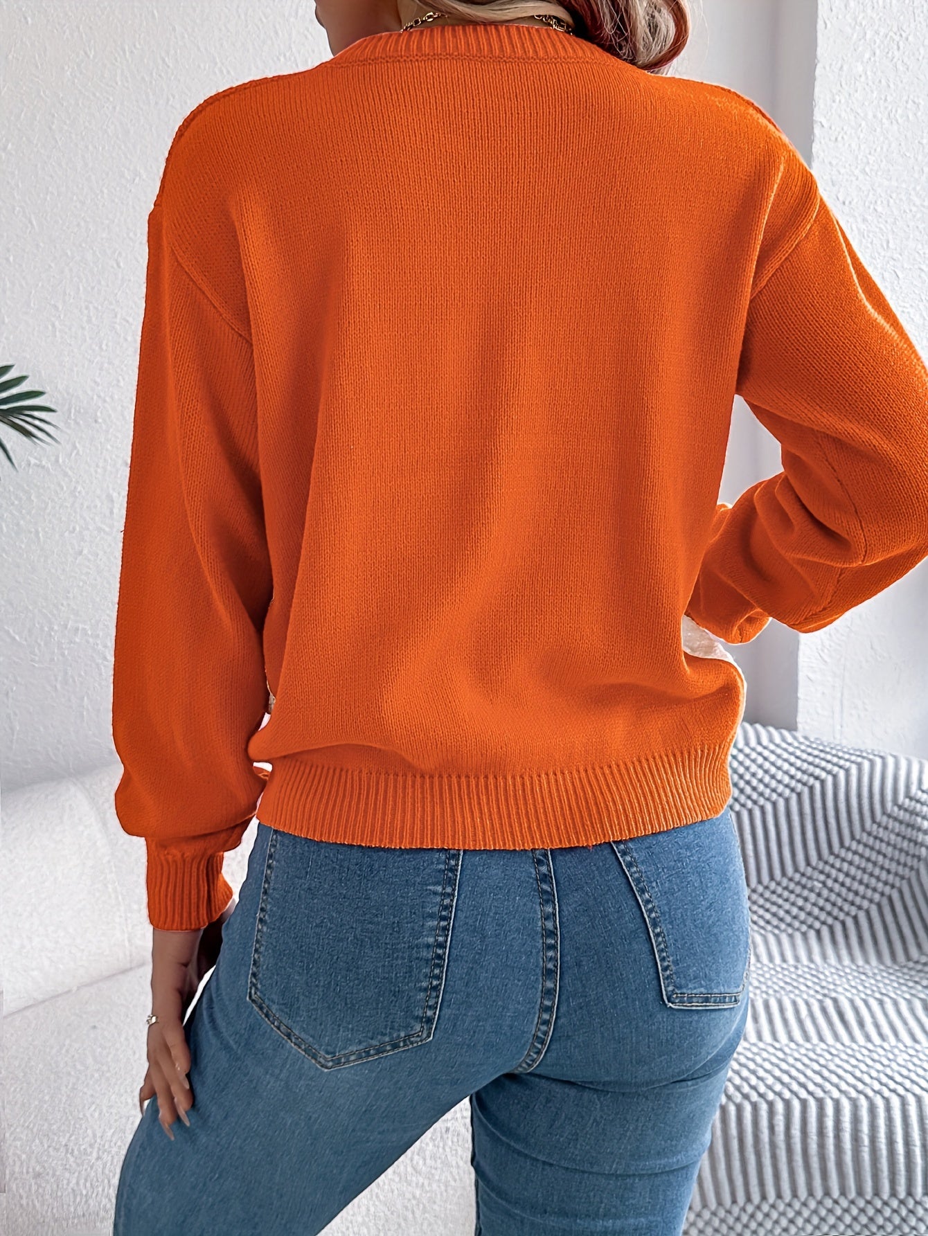 Color Block Crew Neck Sweater, Elegant Long Sleeve Sweater For Fall & Winter, Women's Clothing