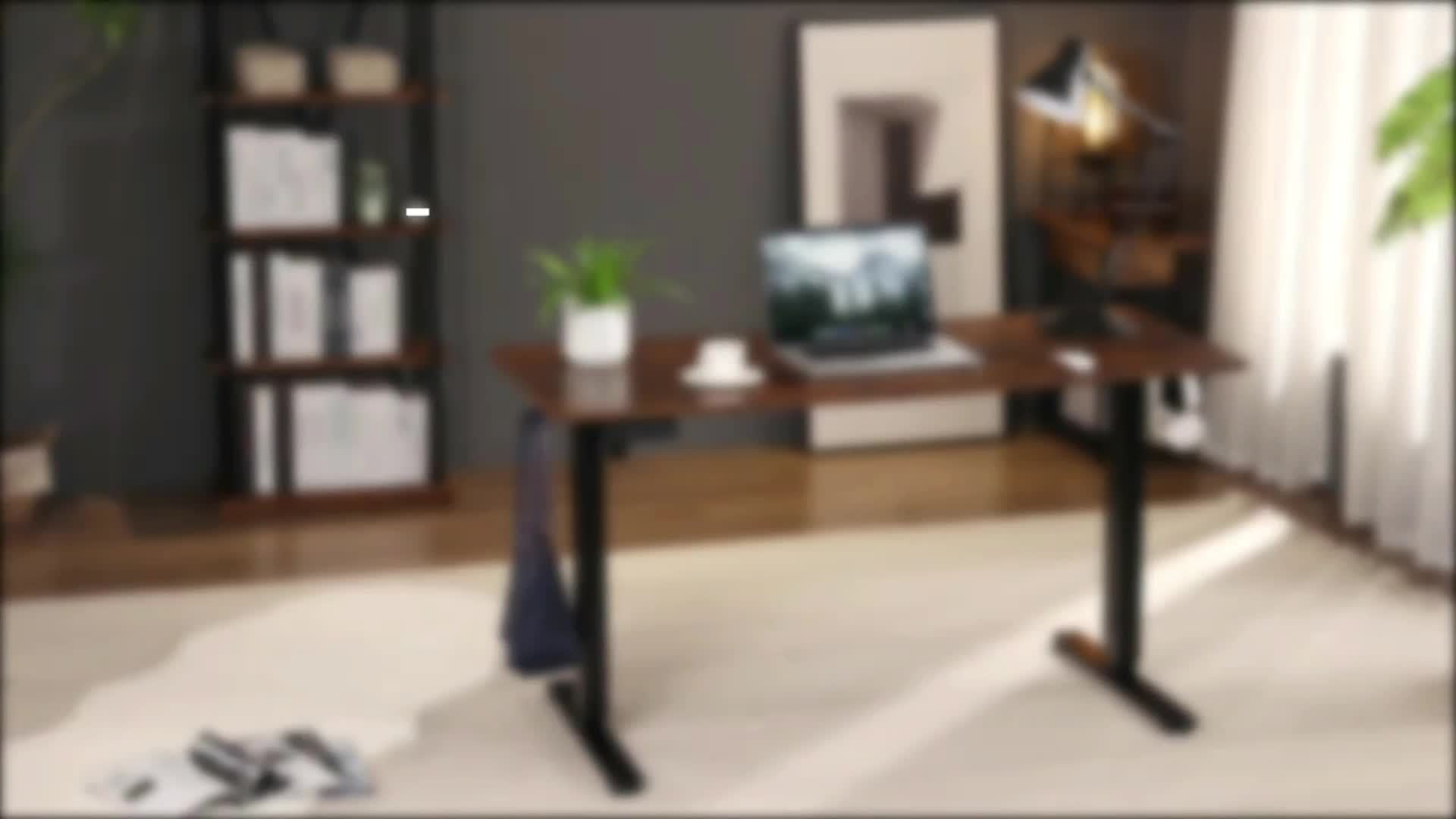 Height Adjustable Electric Standing Desk - 40/48/55/63 Inch Motorized Lift Computer Task Table with Spacious Workspace - Ergonomic Rising Desk for Office and Home with 4 Color Options